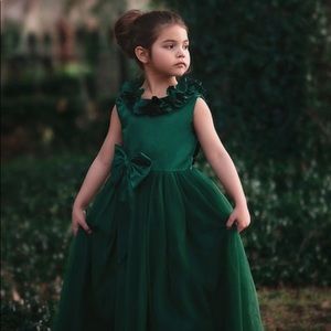 NWT Trish Scully Aeralina Gown, size 12